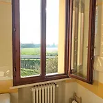 La Coccinella Apartment, Relaxation Near Ravenna *