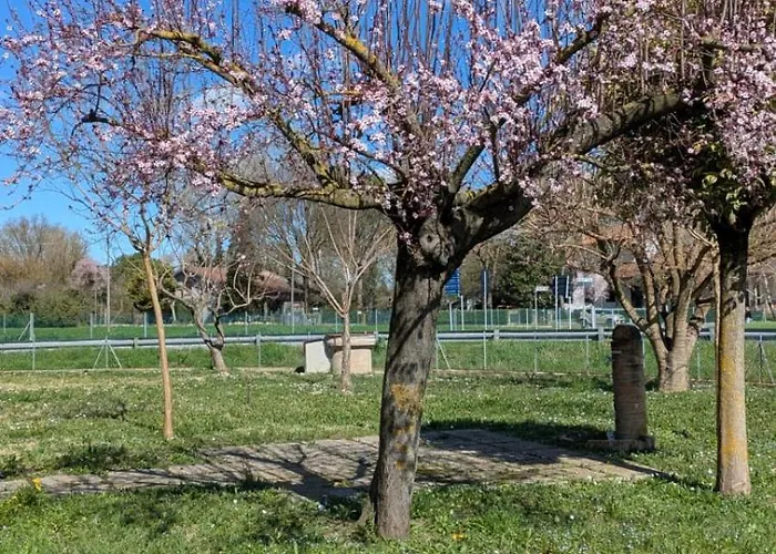 La Coccinella Apartment, Relaxation Near Ravenna Apartmán